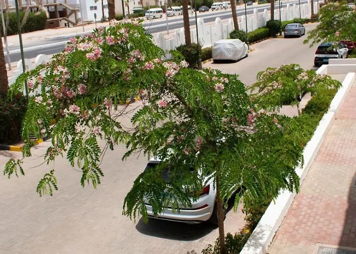 Appartement Urban Reef Charm el-Cheikh